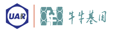 北京牛牛基因技术有限公司
